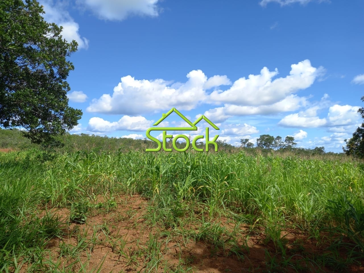 Fazenda à venda com 2 quartos, 880000m² - Foto 10