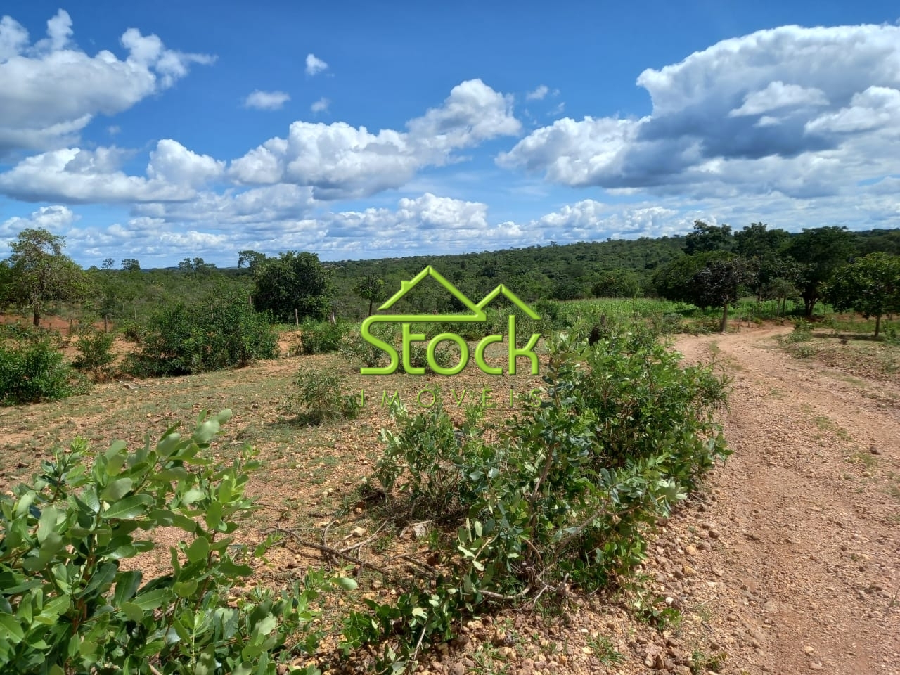 Fazenda à venda com 2 quartos, 880000m² - Foto 15