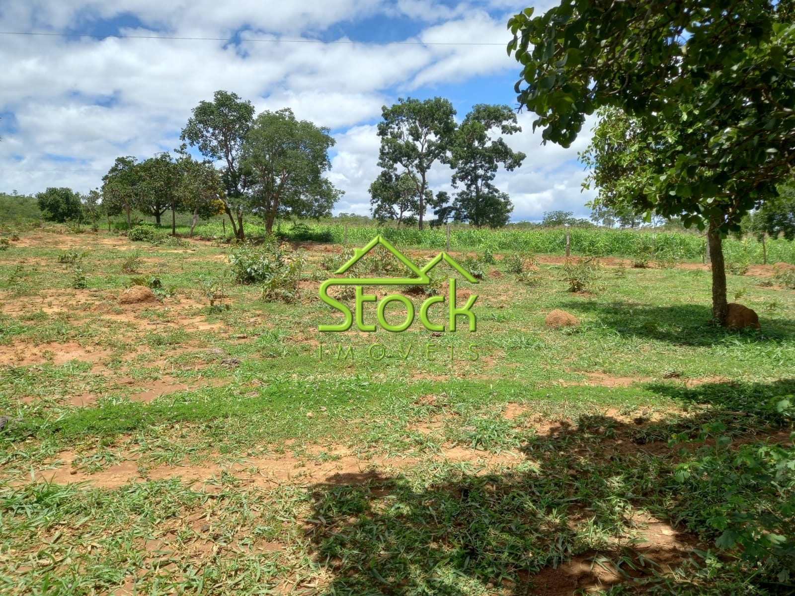 Fazenda à venda com 2 quartos, 880000m² - Foto 6