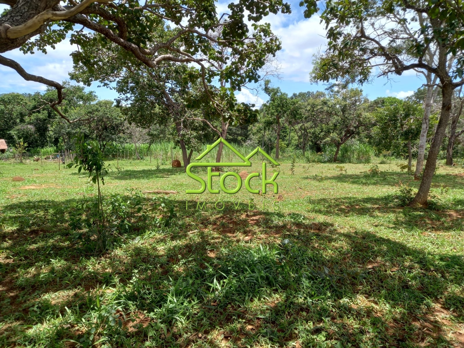 Fazenda à venda com 2 quartos, 880000m² - Foto 8