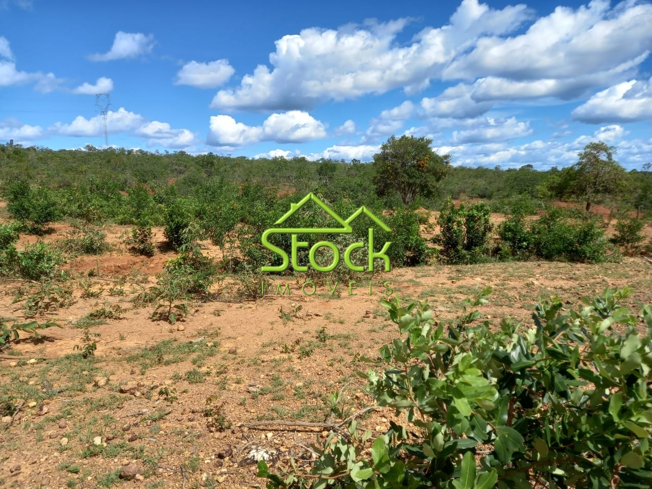 Fazenda à venda com 2 quartos, 880000m² - Foto 14
