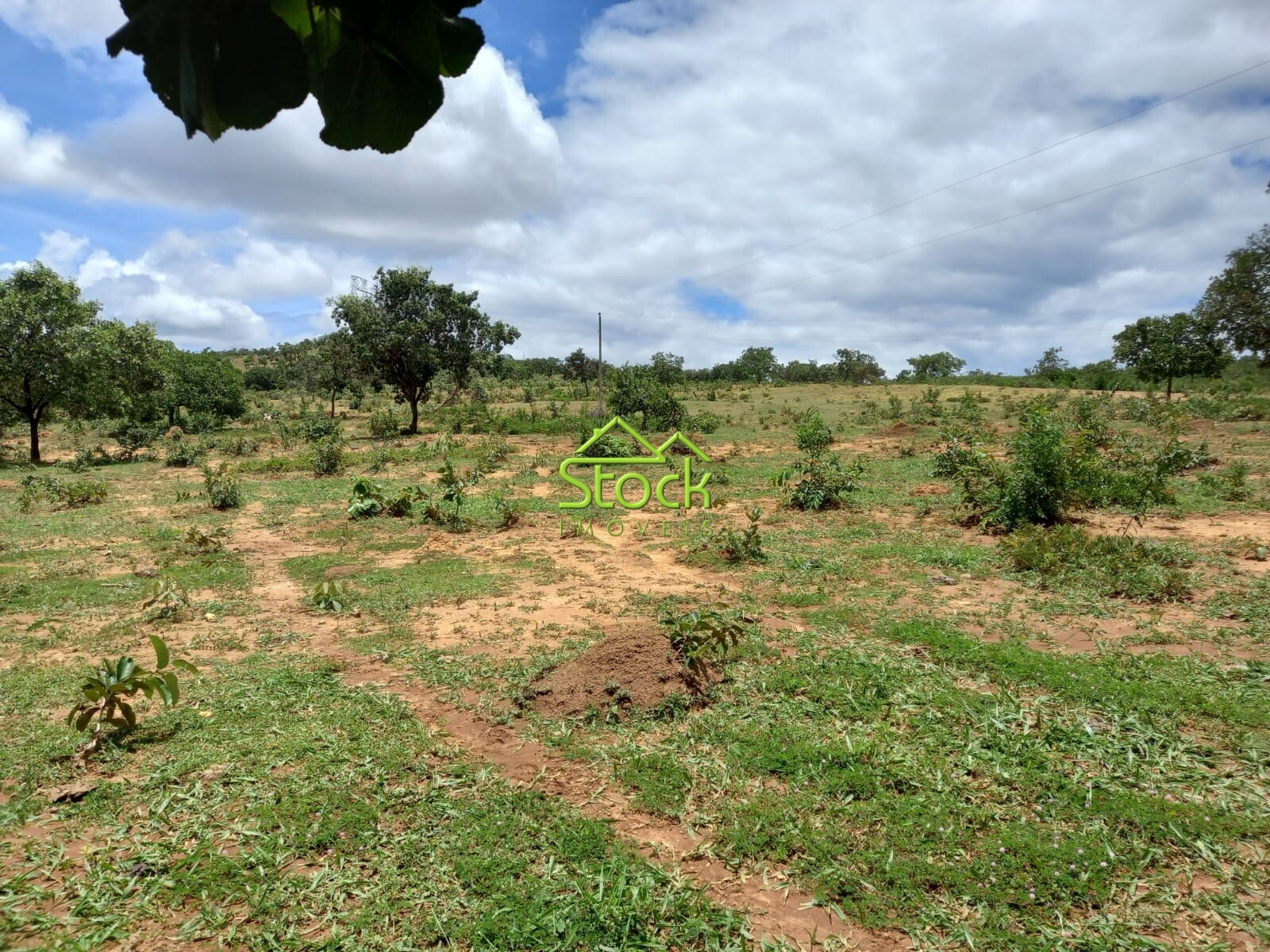 Chácara à venda com 2 quartos, 880000m² - Foto 5