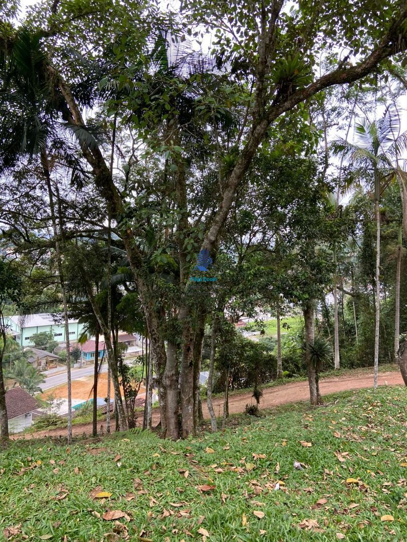 Lote/Terreno de 5530m² no bairro Guarani, em Brusque | Eu Corretor