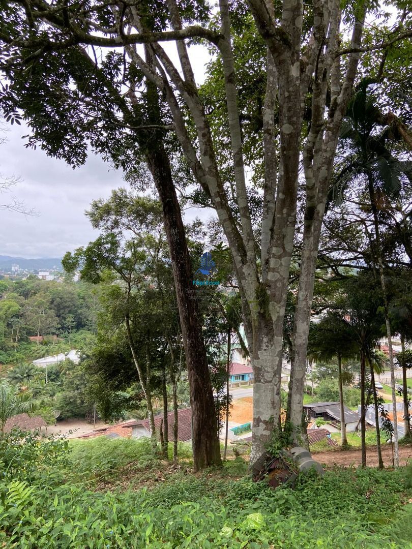 Lote/Terreno de 5530m² no bairro Guarani, em Brusque | Eu Corretor