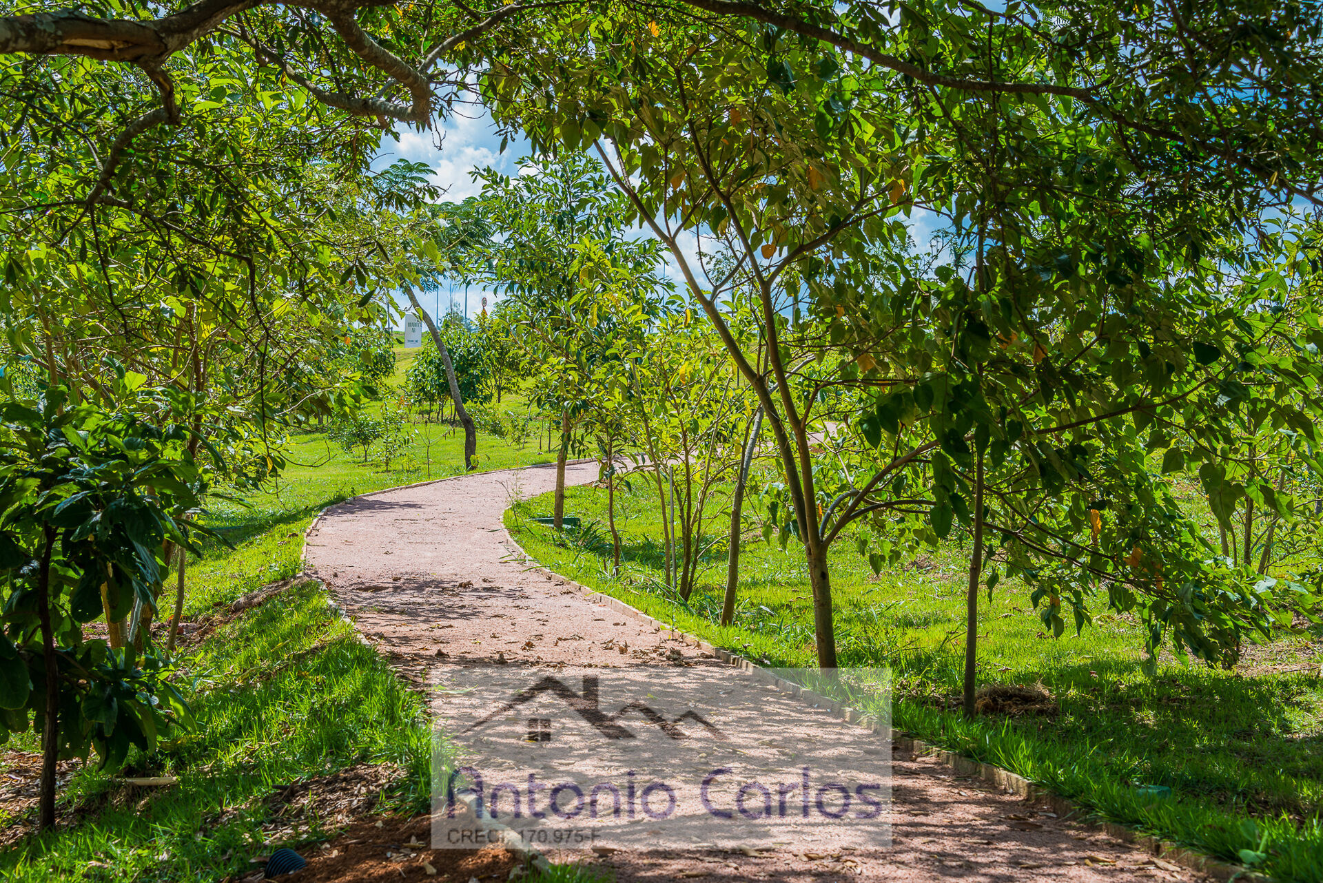 Terreno, 510 m² - Foto 7