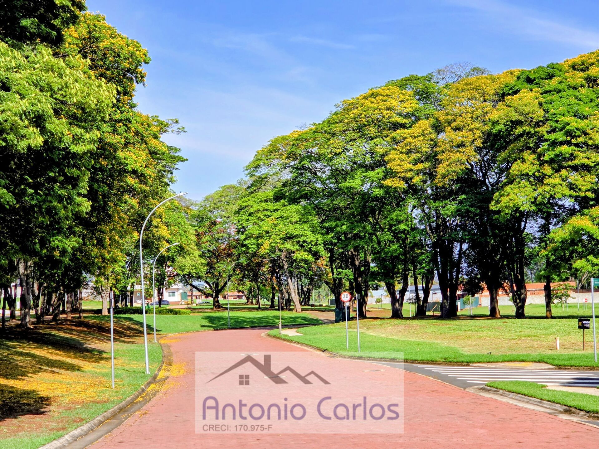 Casa, 3 quartos, 264 m² - Foto 37