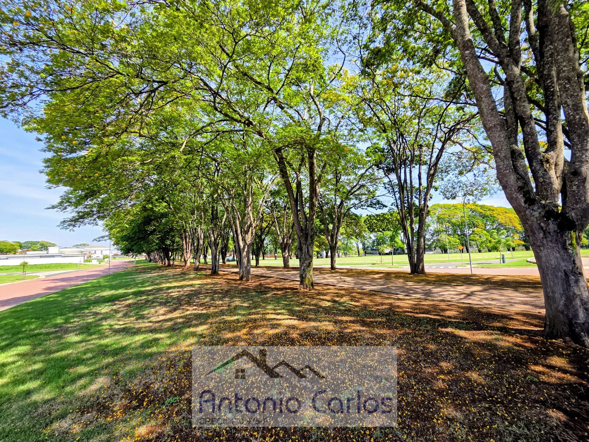 Casa, 3 quartos, 264 m² - Foto 39