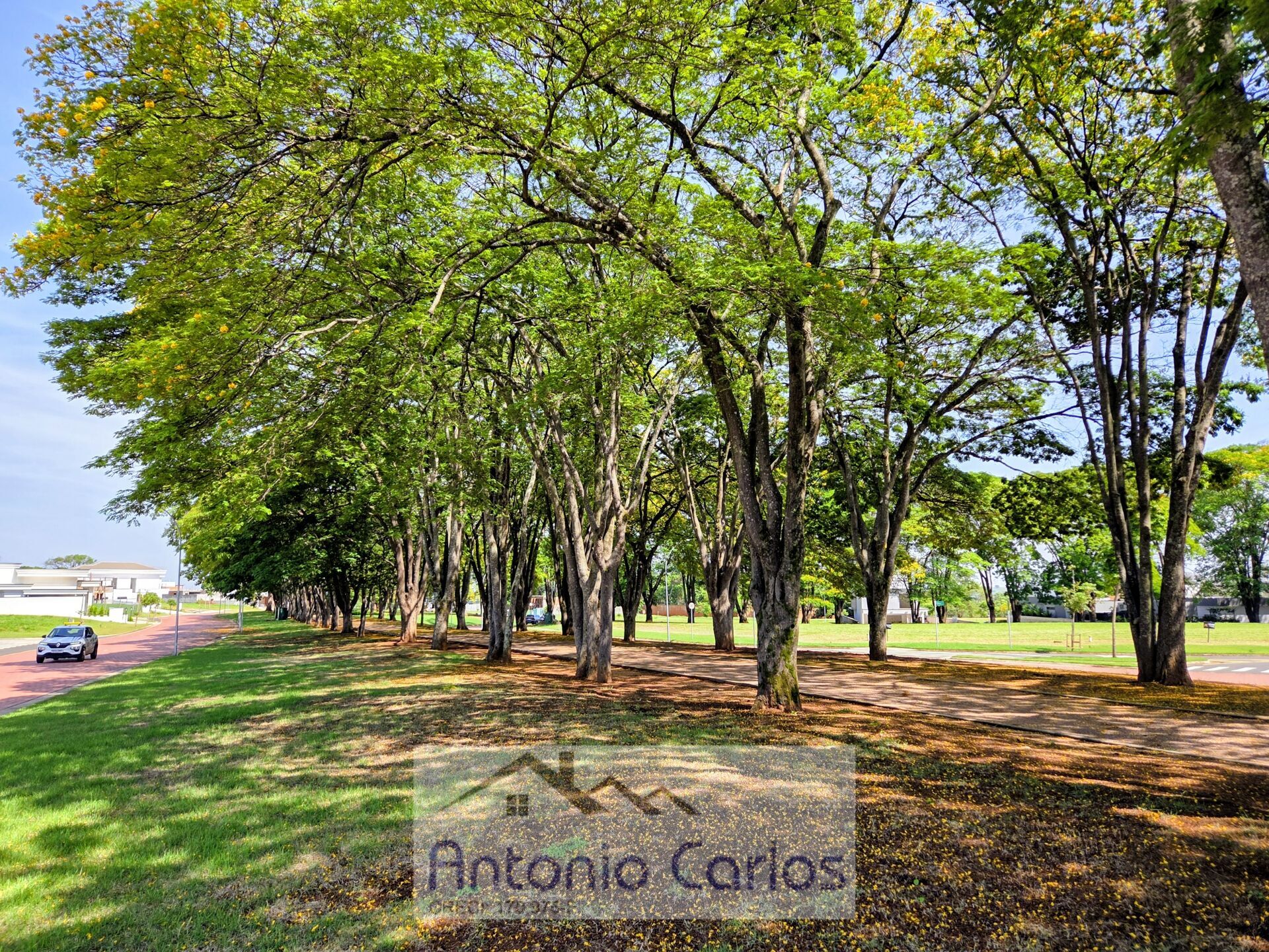 Casa, 3 quartos, 264 m² - Foto 38