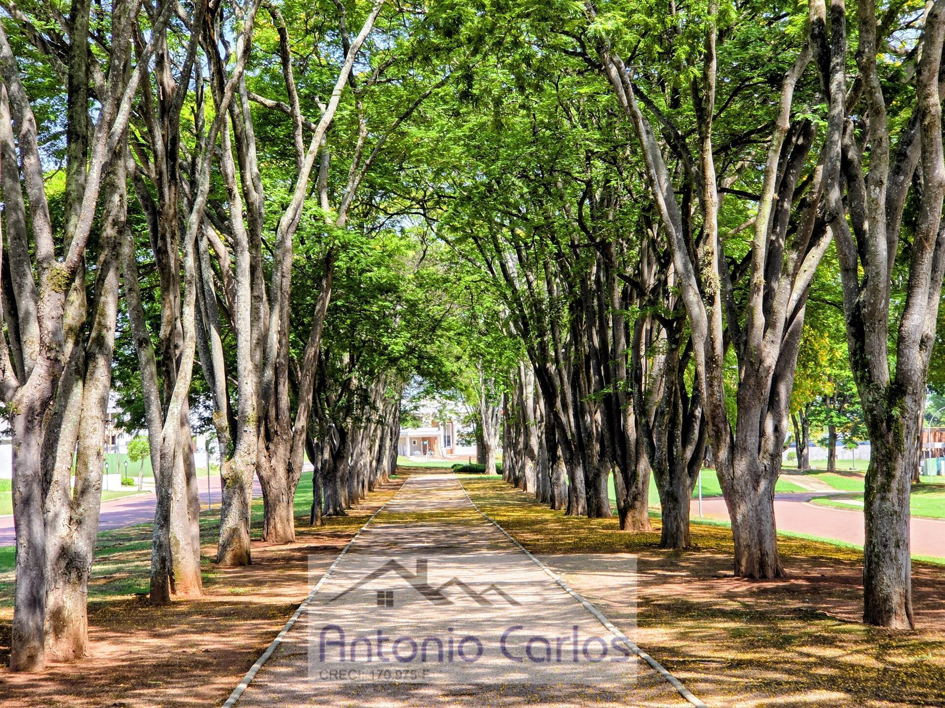 Casa, 3 quartos, 264 m² - Foto 40