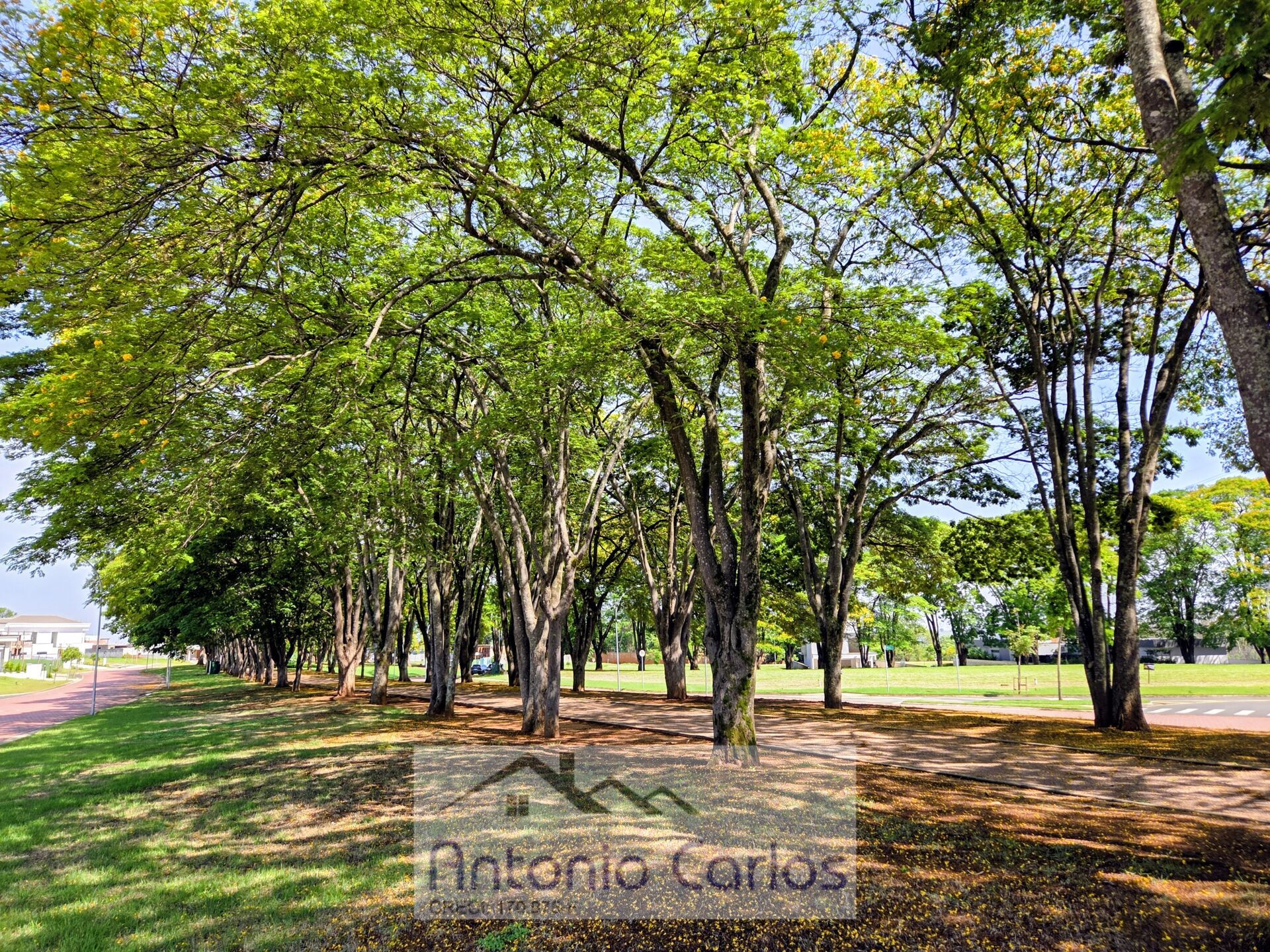 Casa, 3 quartos, 264 m² - Foto 42