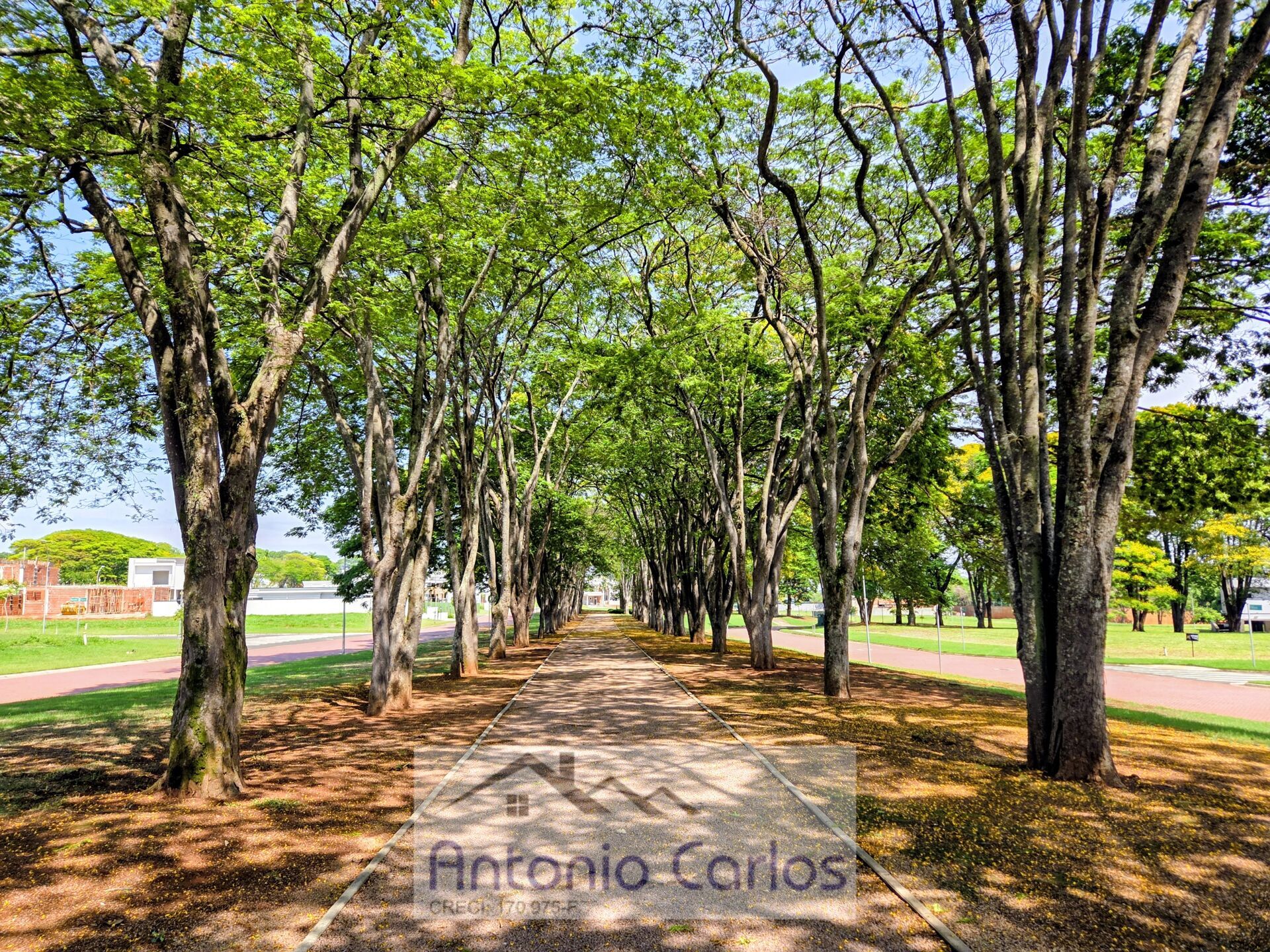 Casa, 3 quartos, 264 m² - Foto 41