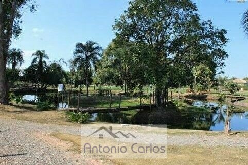 Terreno à venda, 1500m² - Foto 11