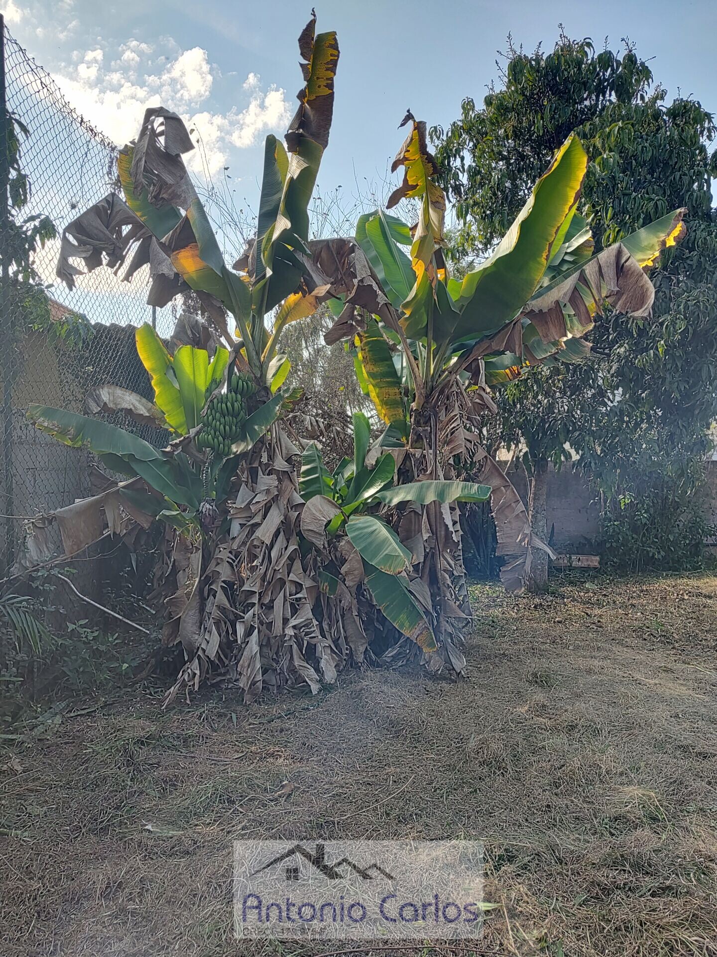 Terreno à venda, 1500m² - Foto 7