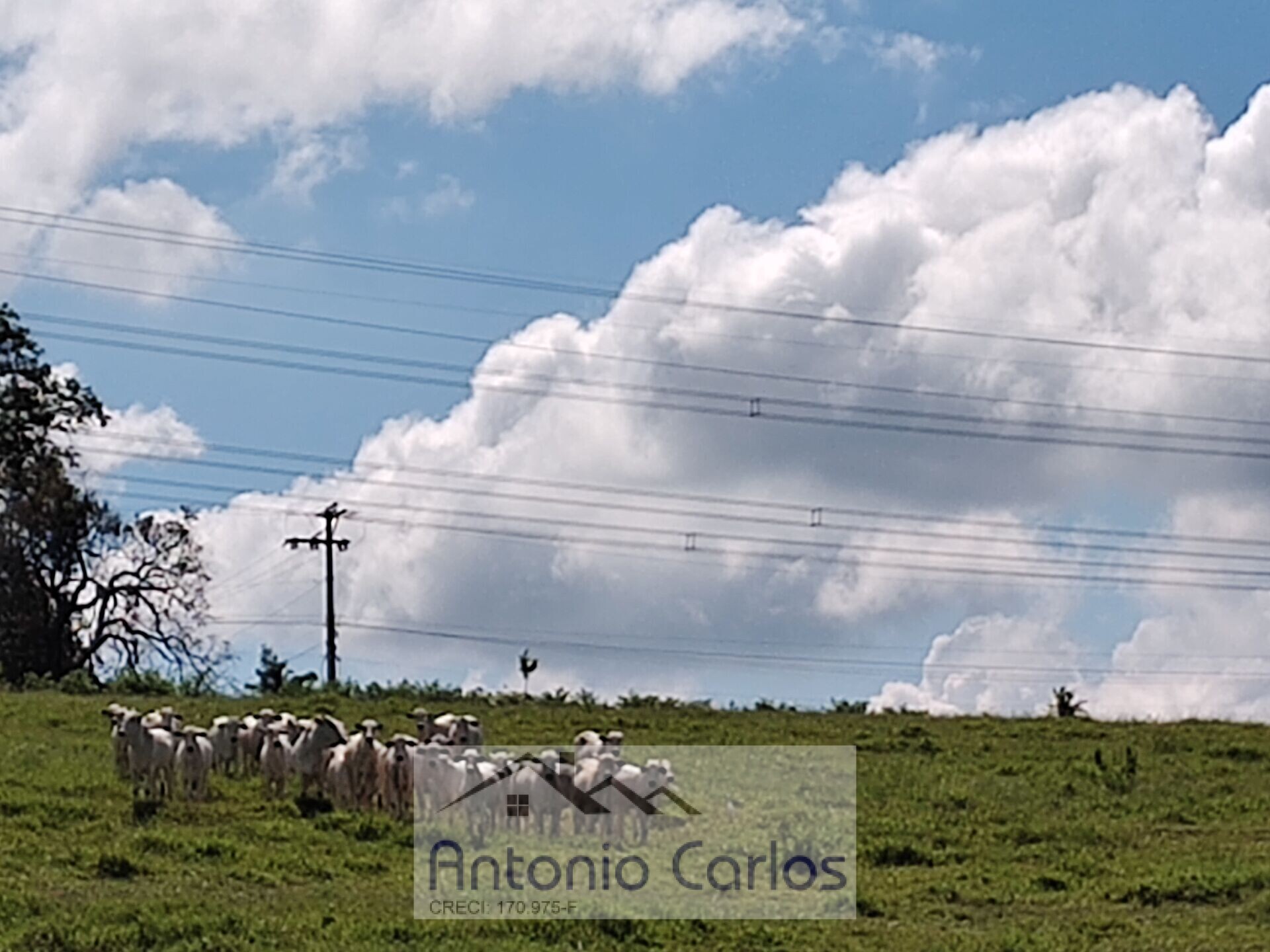 Fazenda à venda com 5 quartos, 241000m² - Foto 36