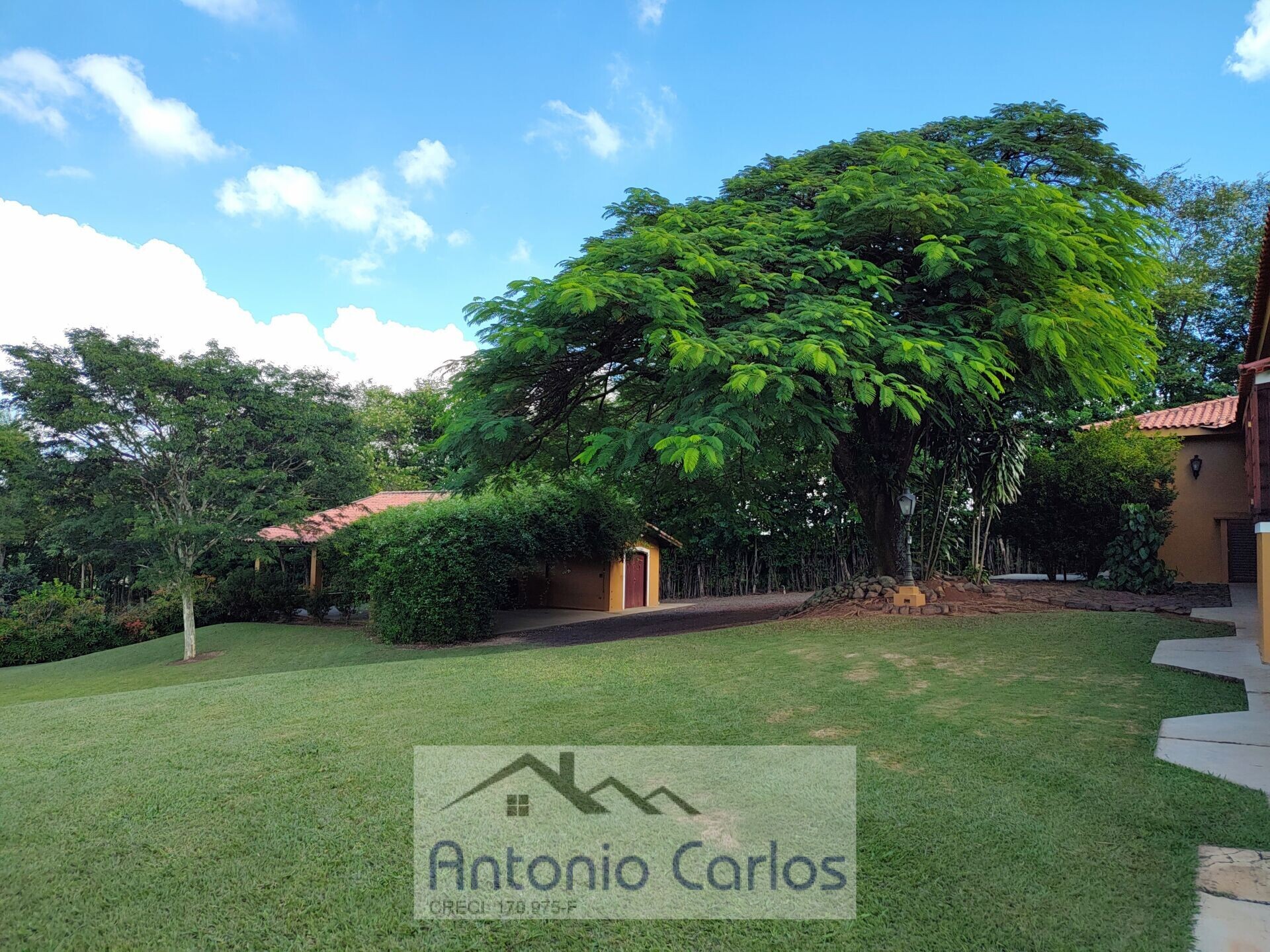 Fazenda à venda com 5 quartos, 241000m² - Foto 6