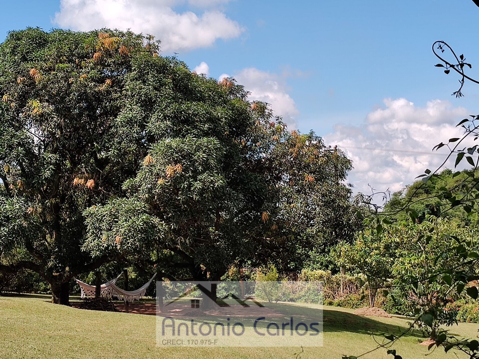 Fazenda à venda com 5 quartos, 241000m² - Foto 43