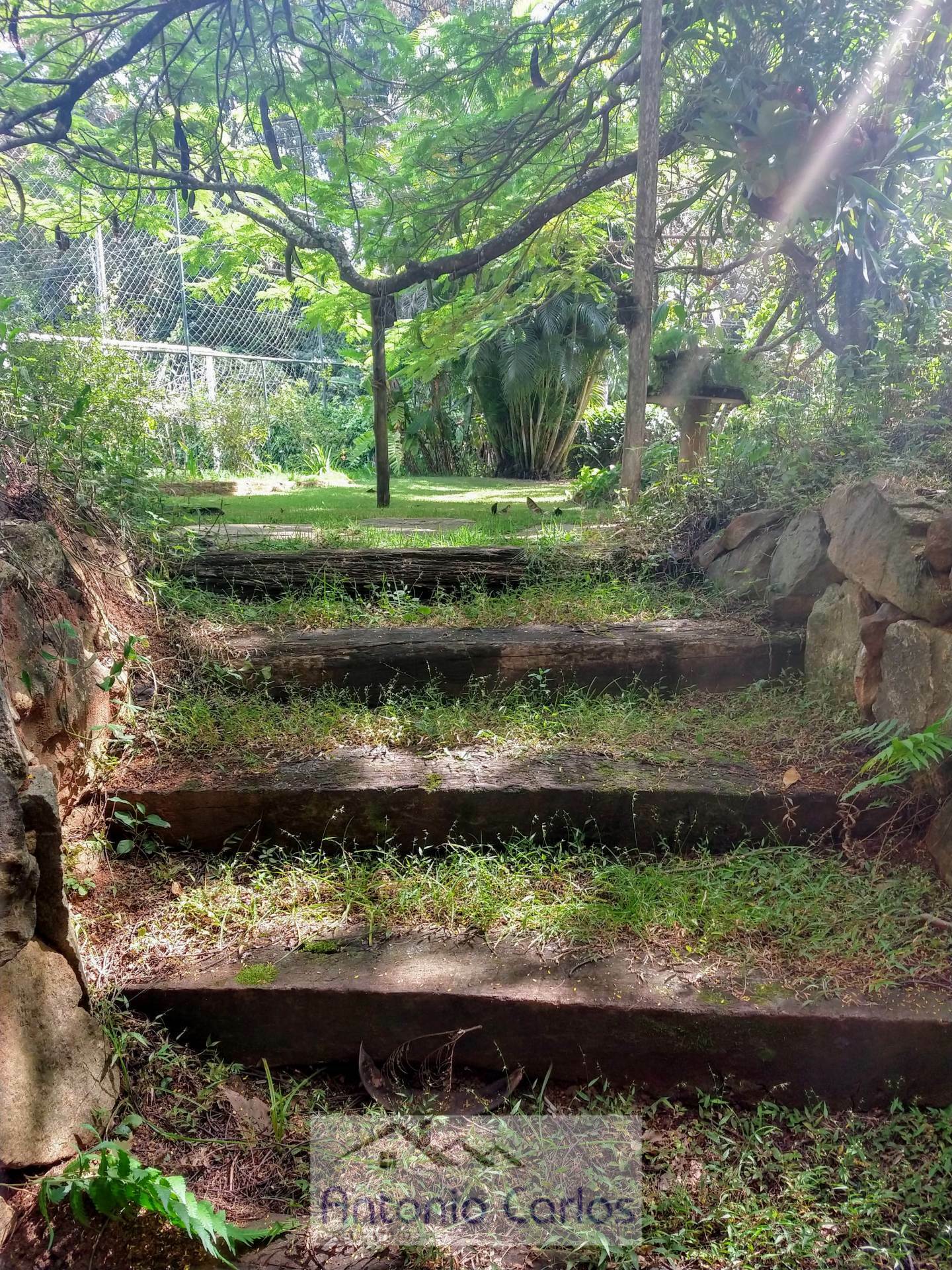 Fazenda à venda com 2 quartos, 3000m² - Foto 11