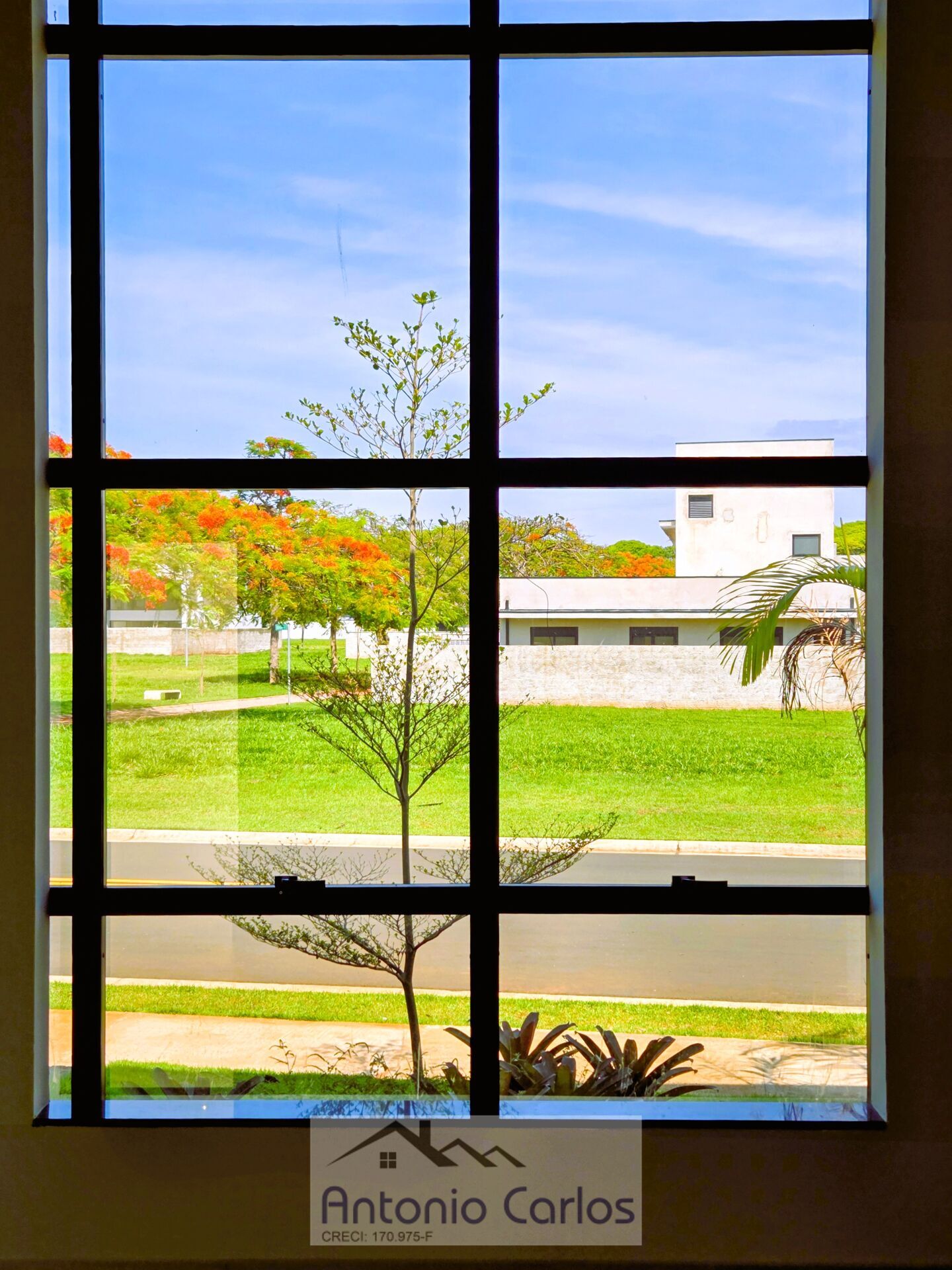 Casa, 3 quartos, 264 m² - Foto 4