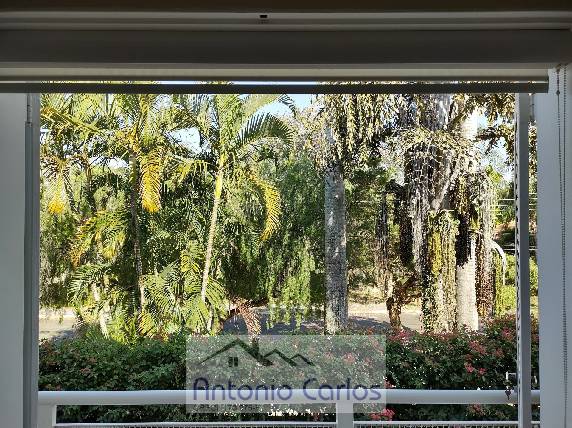 Casa, 3 quartos, 300 m² - Foto 30