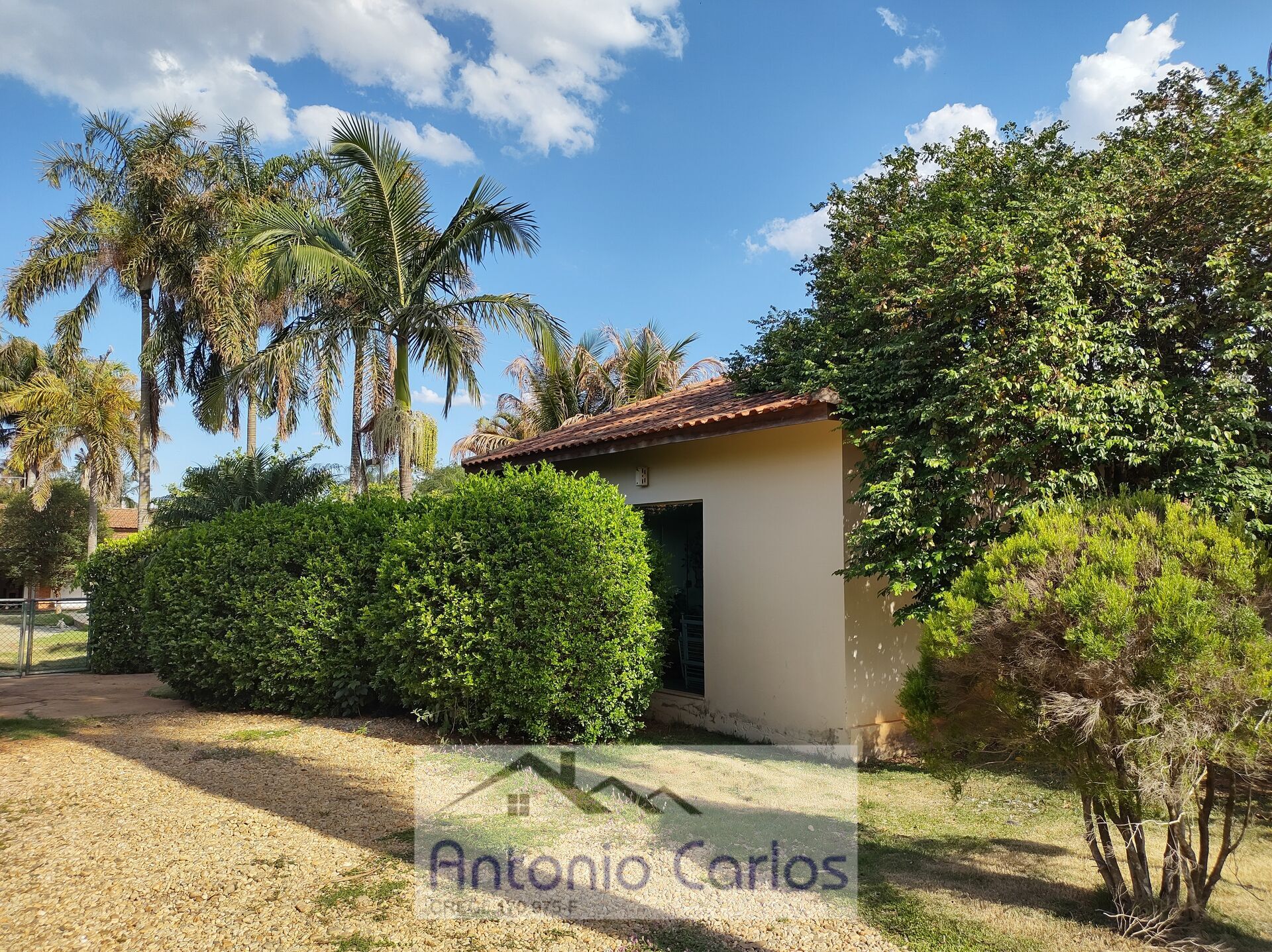 Fazenda à venda com 4 quartos, 1500m² - Foto 40