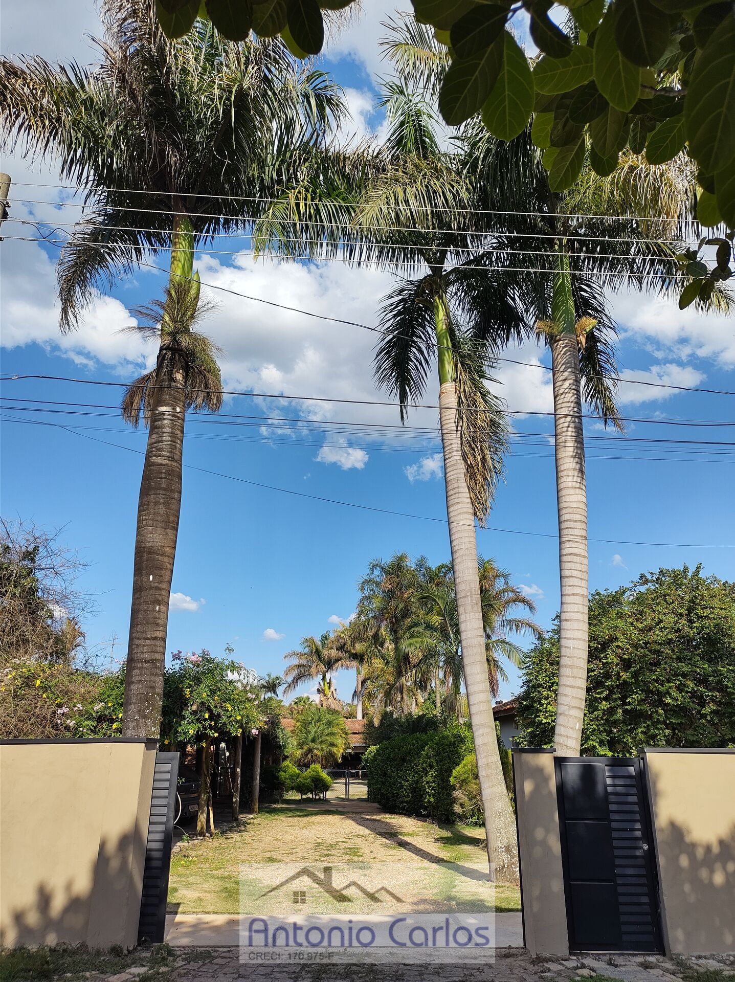 Fazenda à venda com 4 quartos, 1500m² - Foto 2