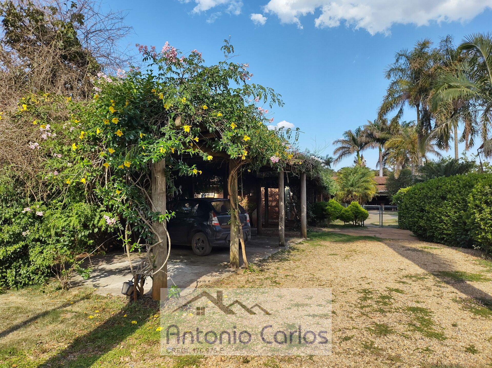 Fazenda à venda com 4 quartos, 1500m² - Foto 39