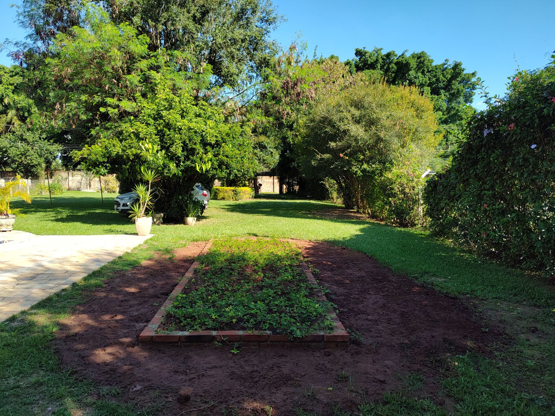 Fazenda à venda com 4 quartos, 1800m² - Foto 9