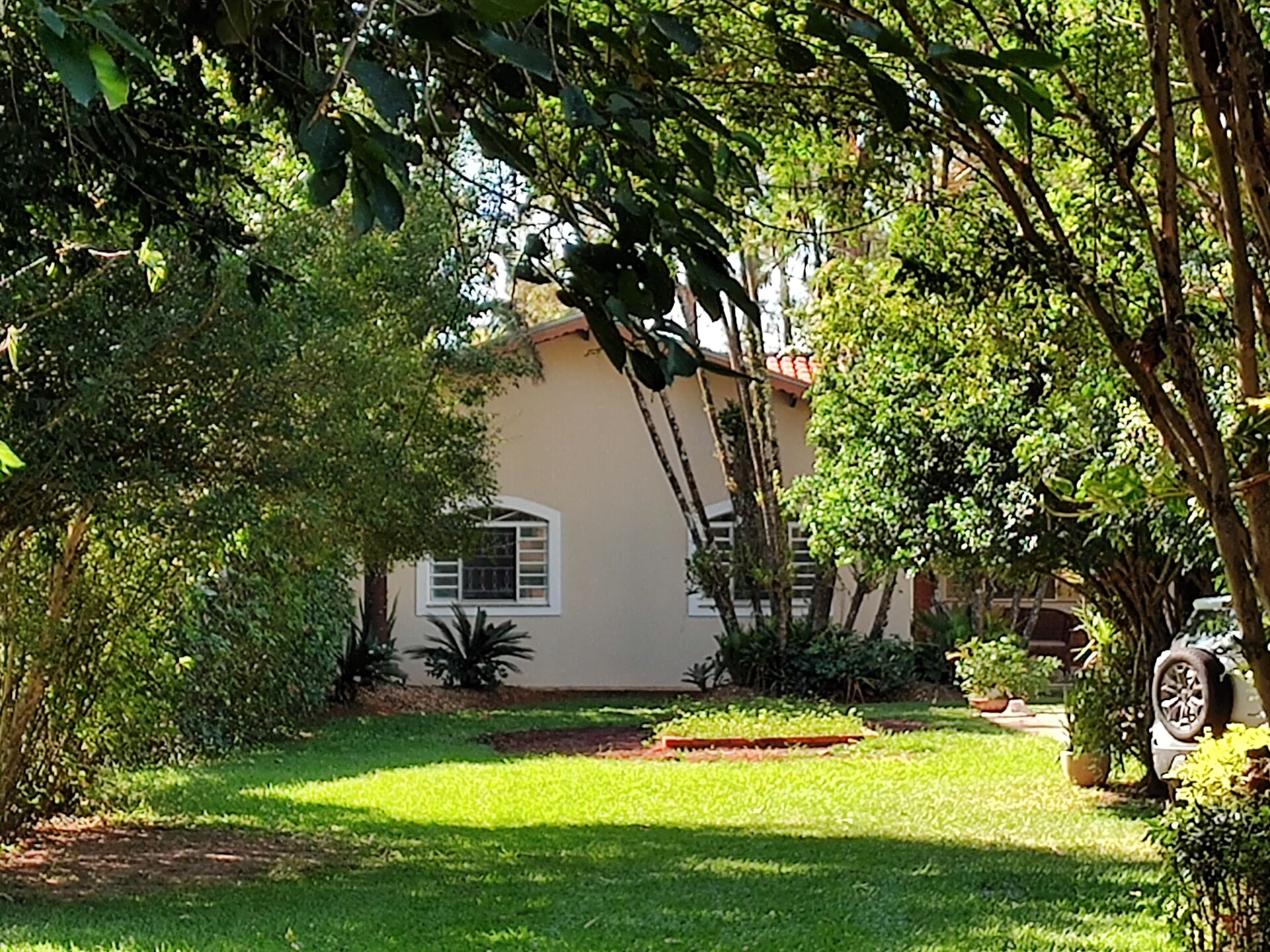 Fazenda à venda com 4 quartos, 1800m² - Foto 7