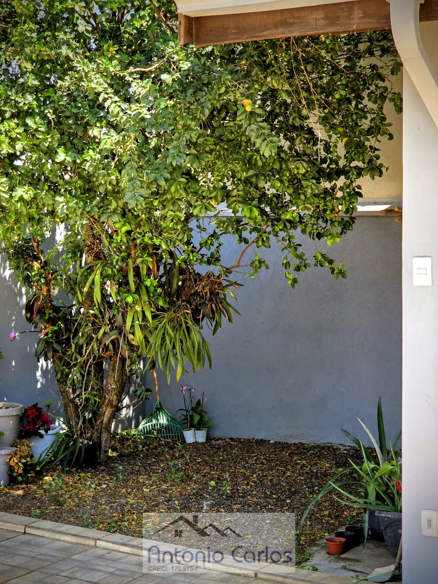 Casa, 5 quartos, 308 m² - Foto 31