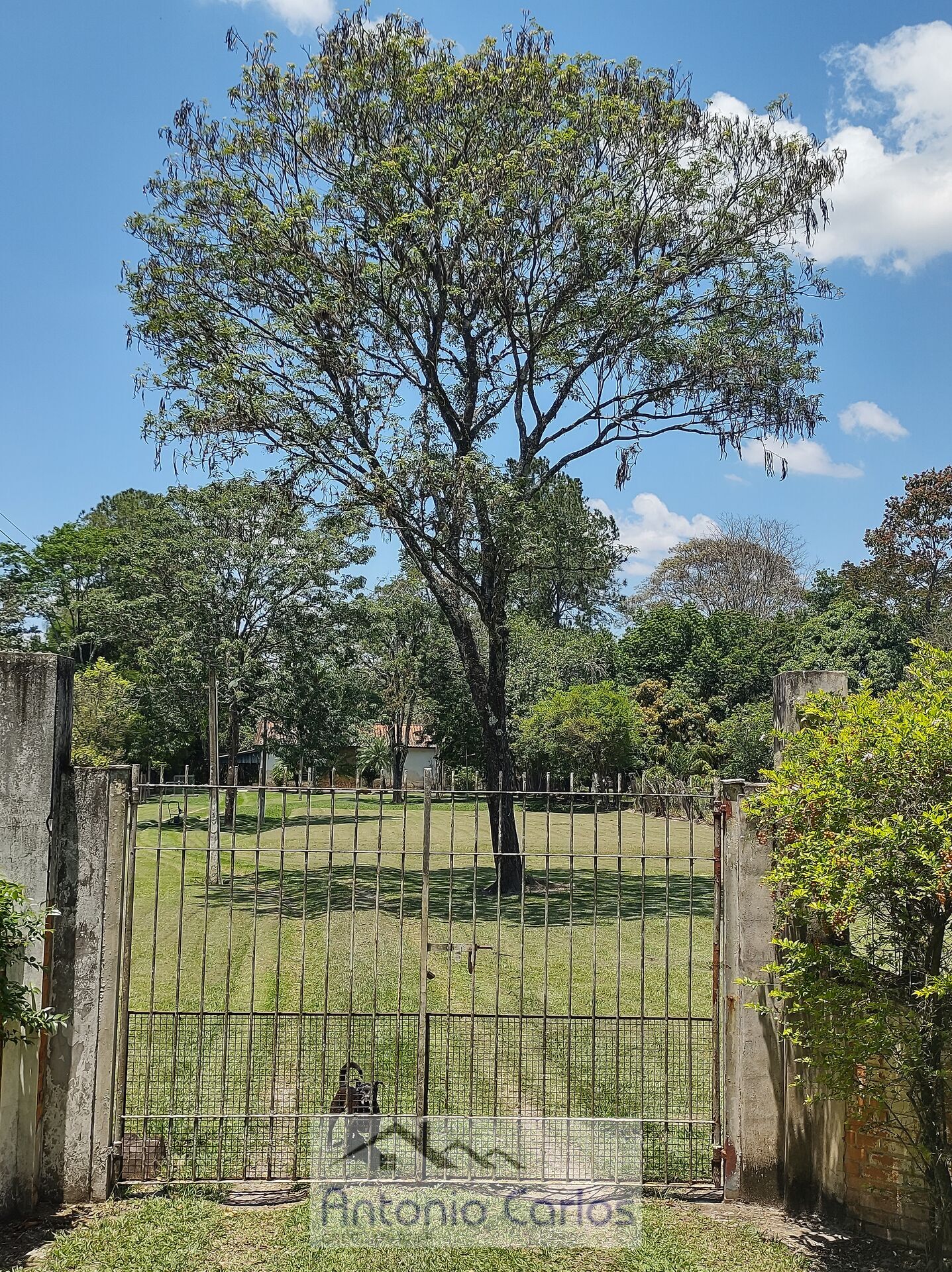 Fazenda à venda com 3 quartos, 4783m² - Foto 2