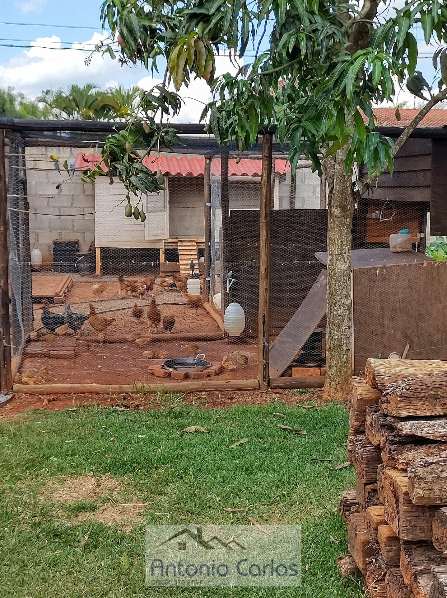 Fazenda à venda com 3 quartos, 1000m² - Foto 22