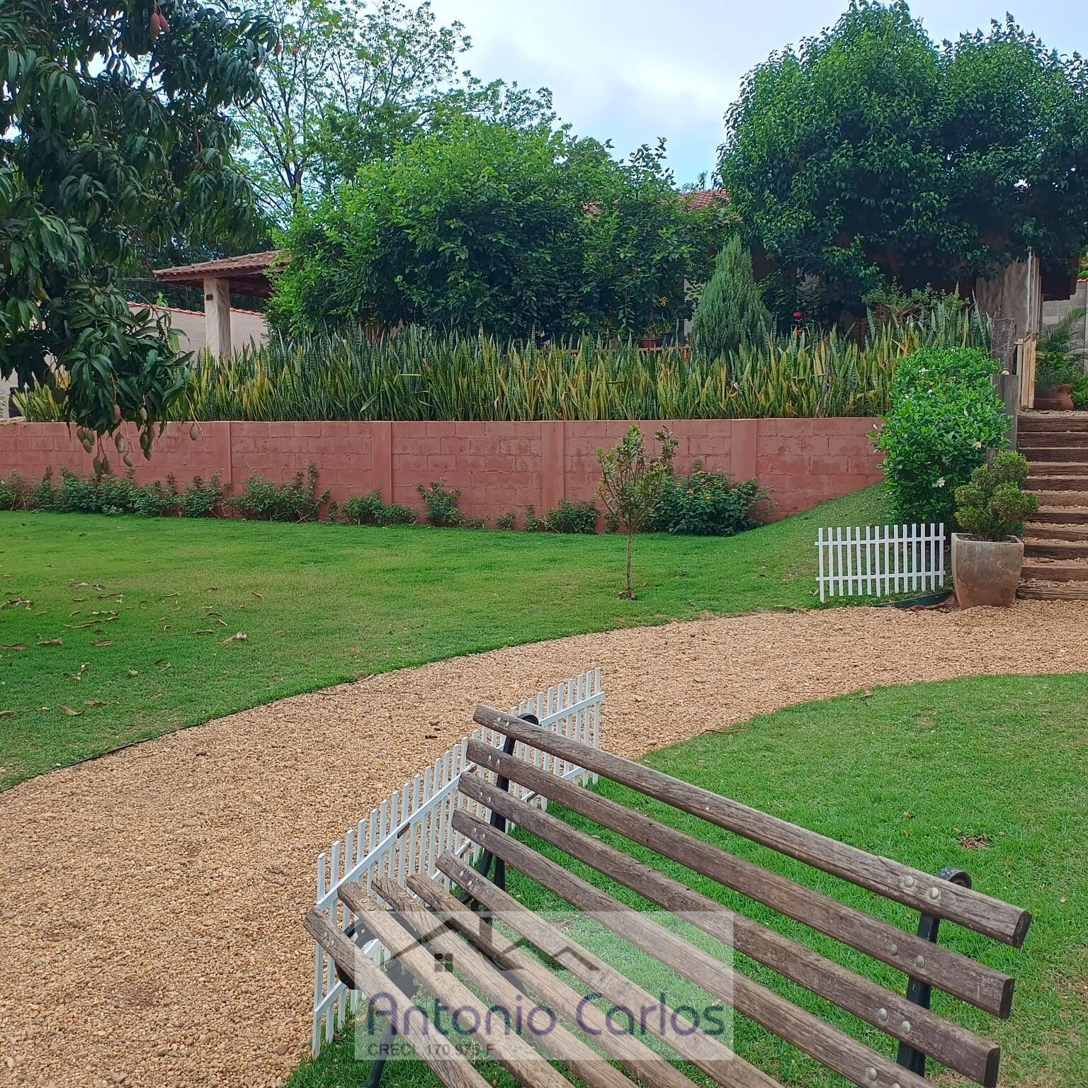 Fazenda à venda com 3 quartos, 1000m² - Foto 9