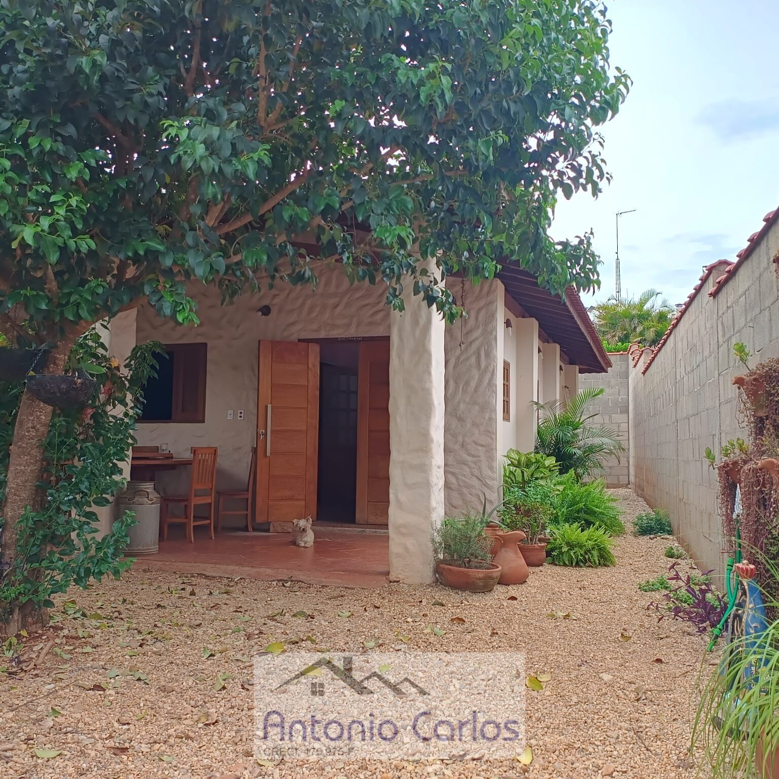 Fazenda à venda com 3 quartos, 1000m² - Foto 18