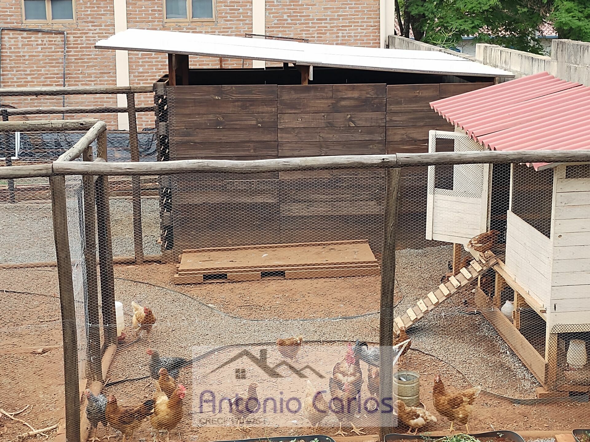 Fazenda à venda com 3 quartos, 1000m² - Foto 21