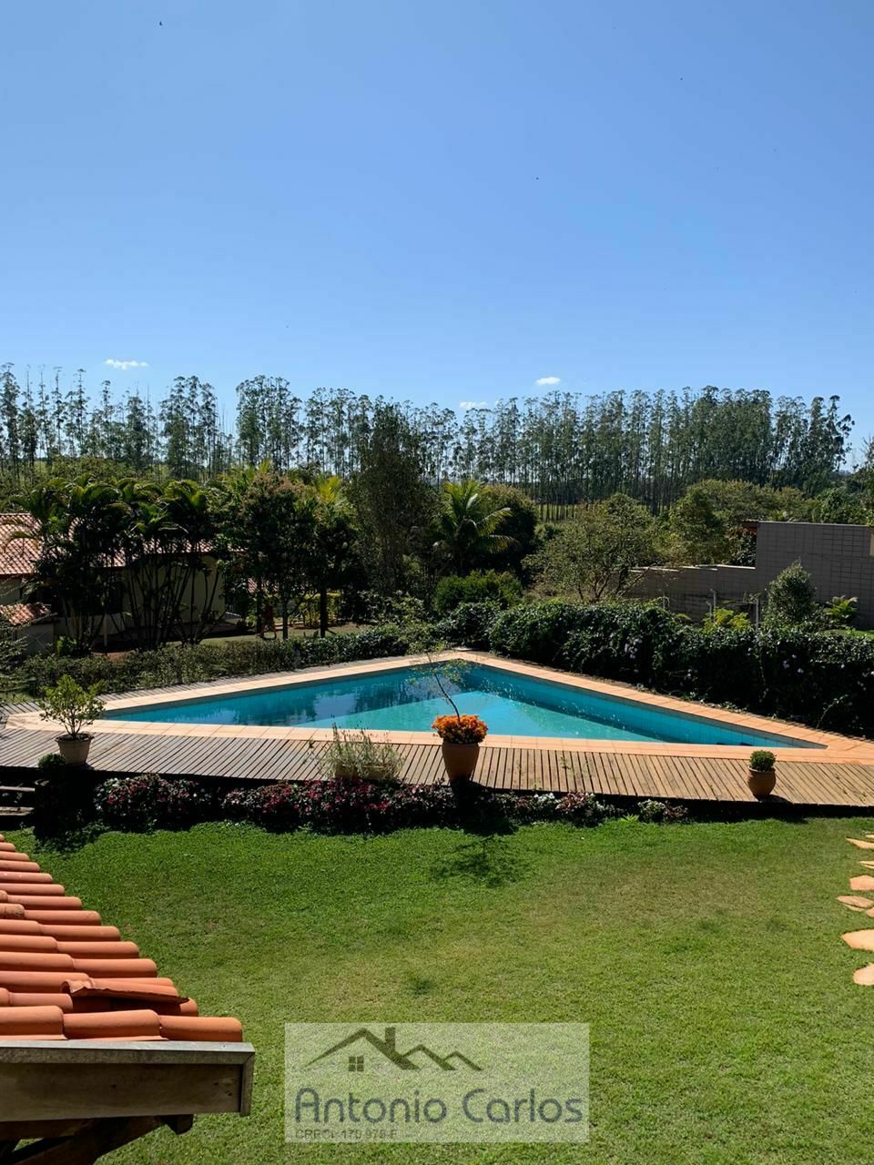 Fazenda à venda com 4 quartos, 950m² - Foto 5