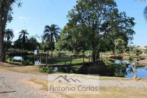 Terreno à venda, 1500m² - Foto 6