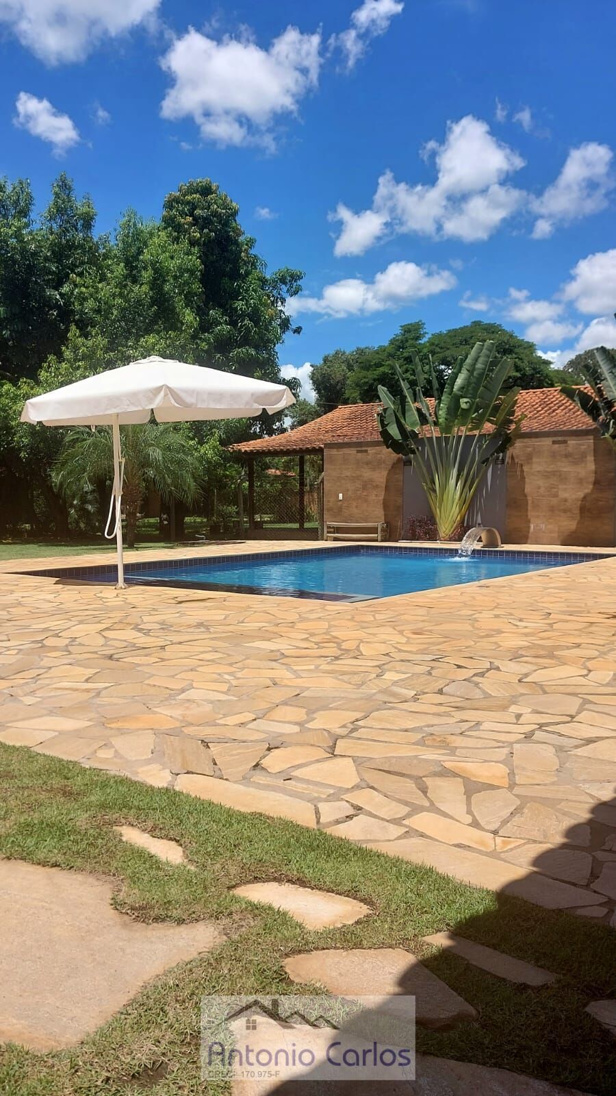 Fazenda à venda com 4 quartos, 1500m² - Foto 4