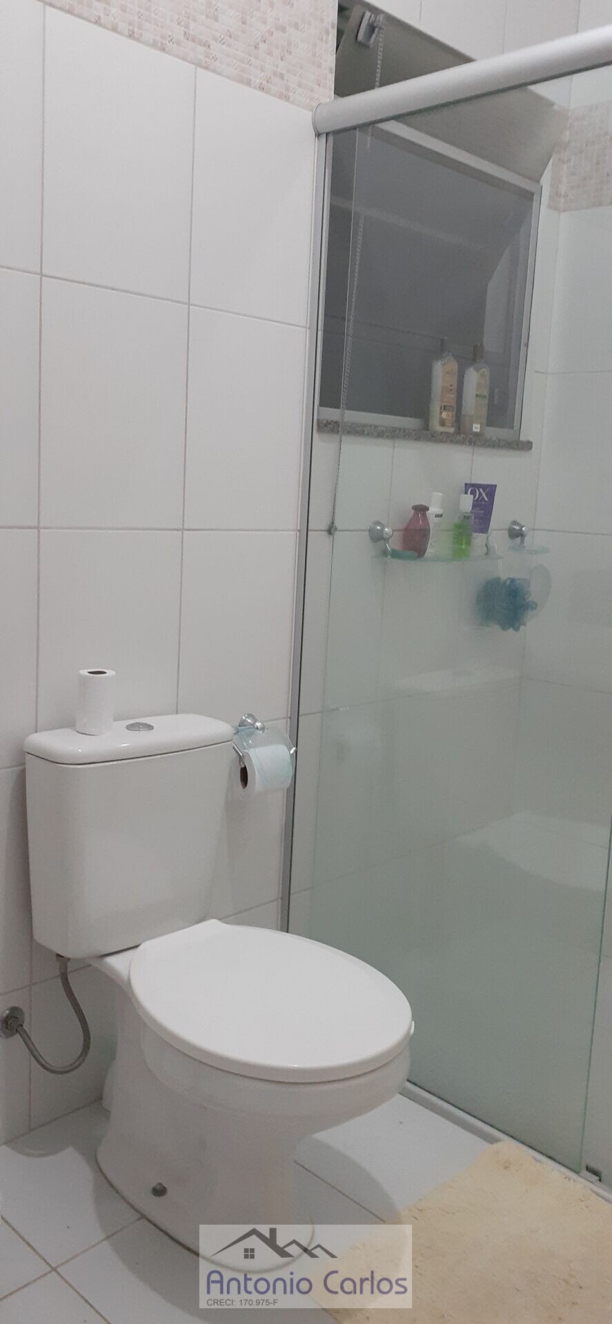 Fazenda à venda com 3 quartos, 1000m² - Foto 19