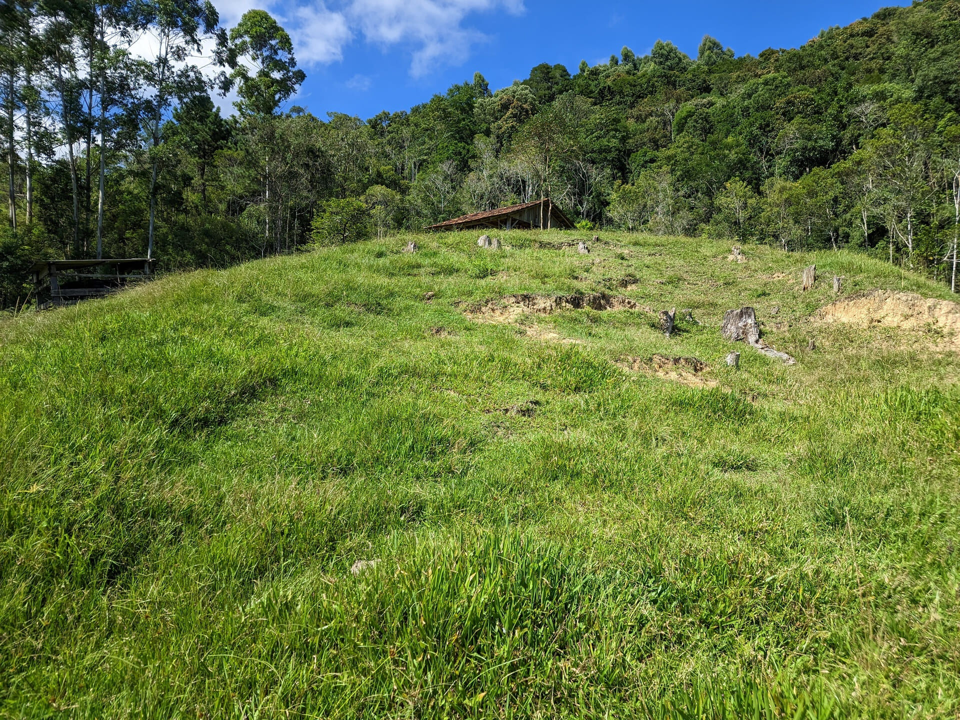 Terreno à venda, 30000m² - Foto 9