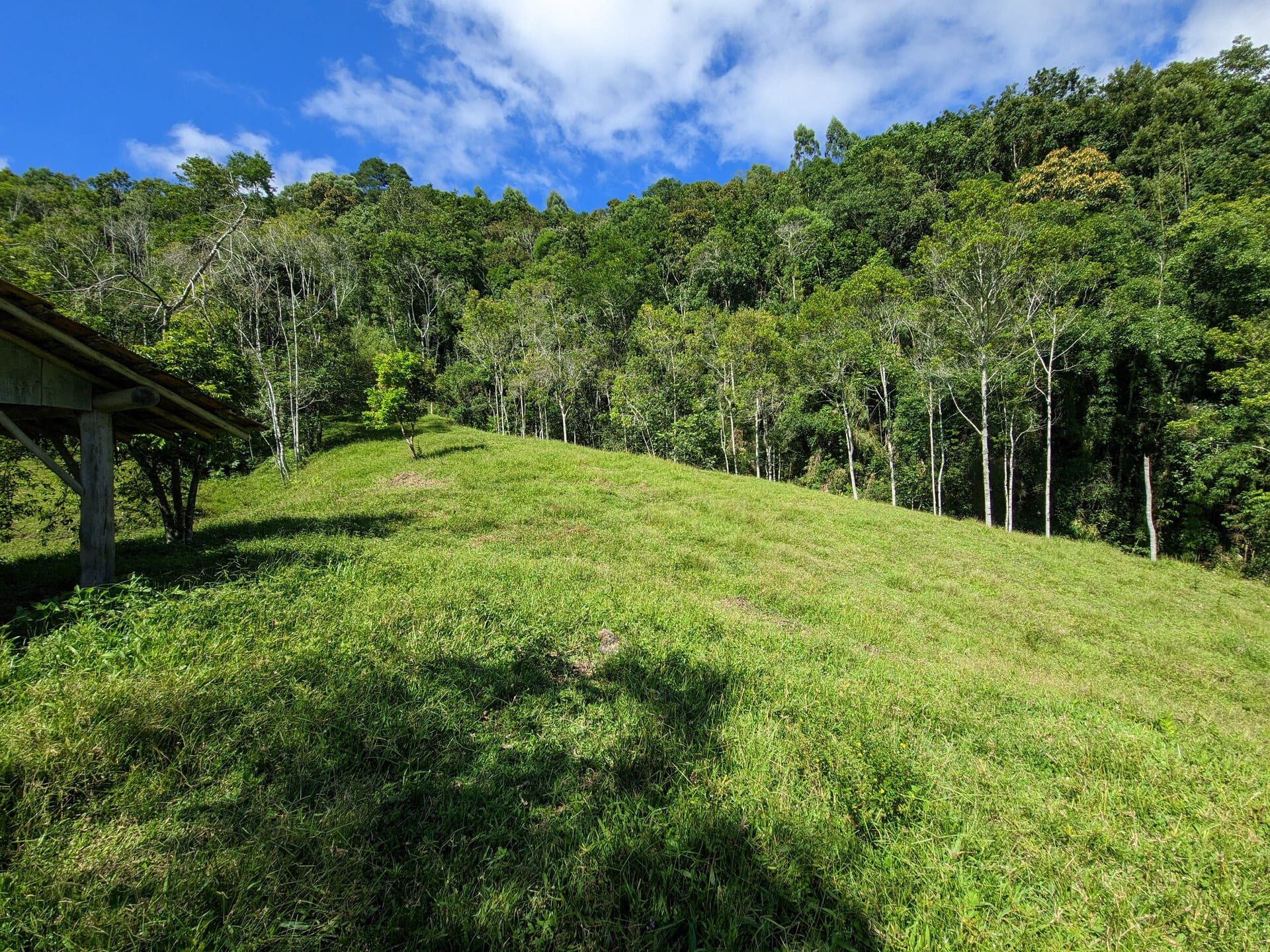 Terreno à venda, 30000m² - Foto 6