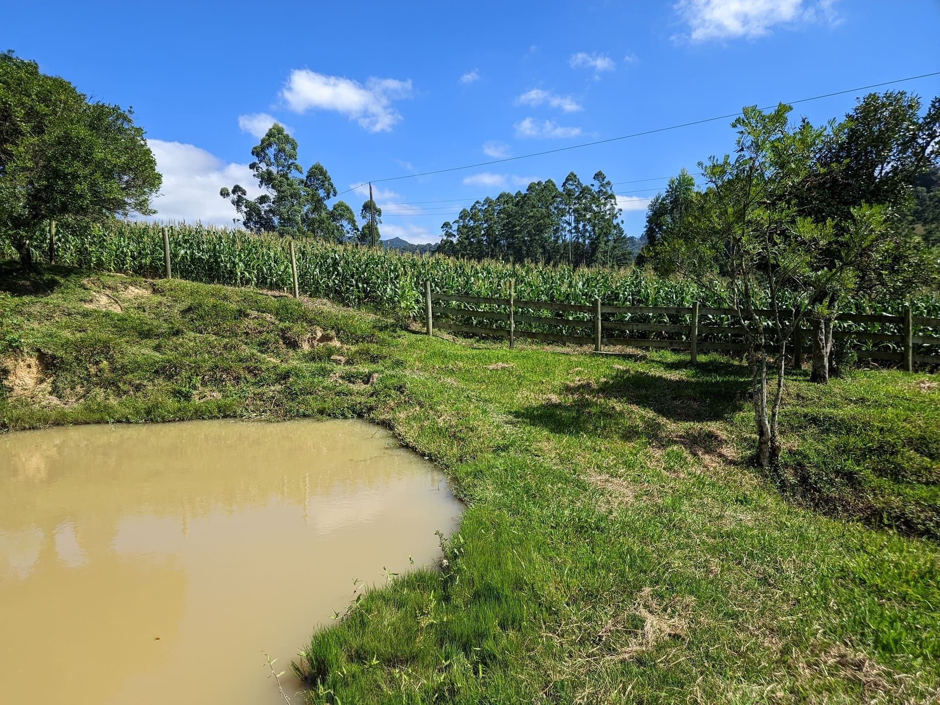 Terreno à venda, 30000m² - Foto 11