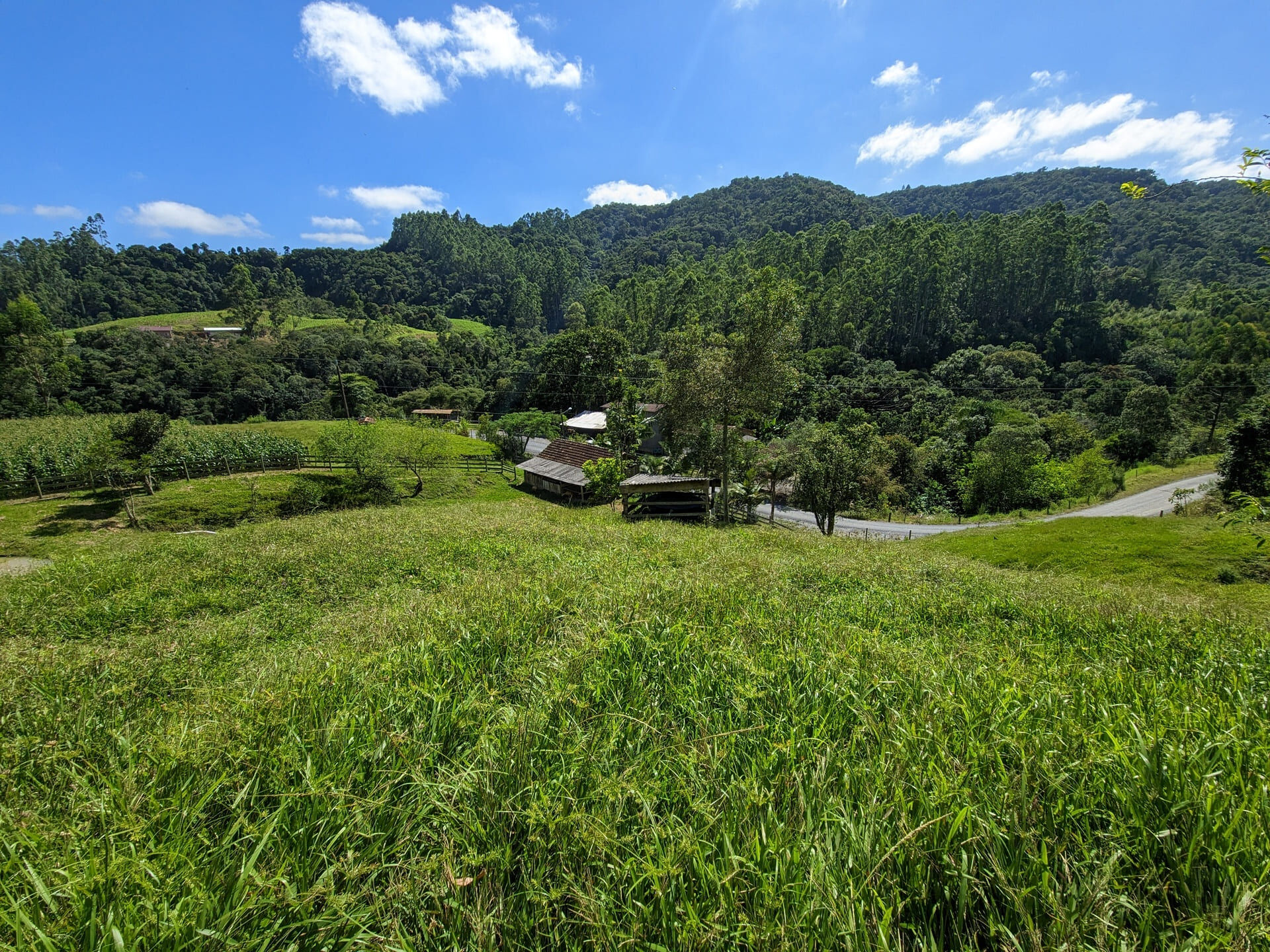 Terreno à venda, 30000m² - Foto 7