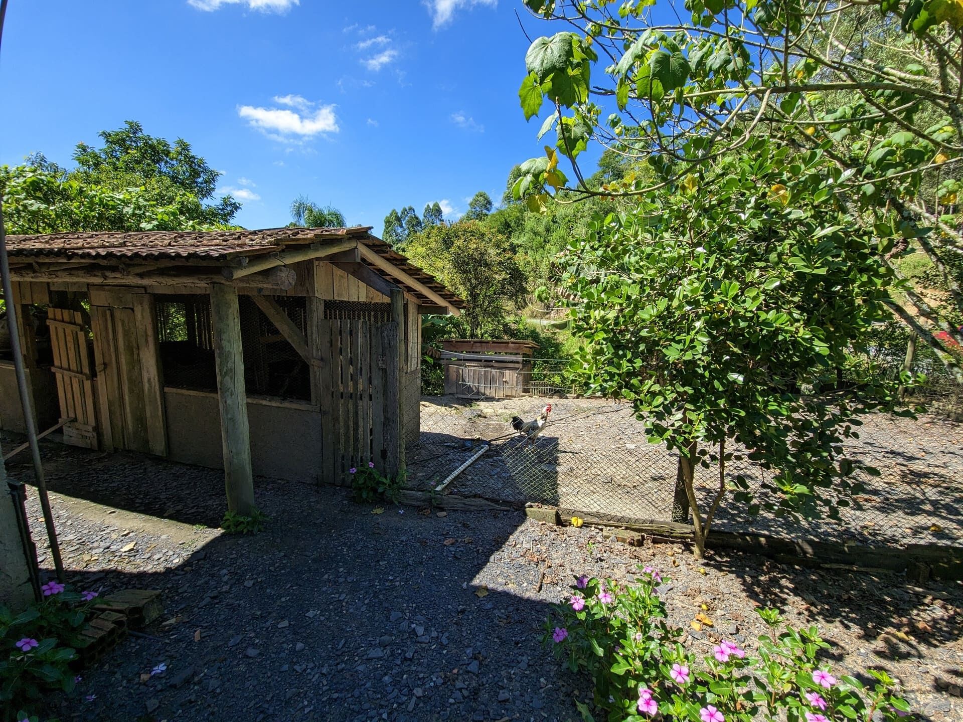 Terreno à venda, 30000m² - Foto 23