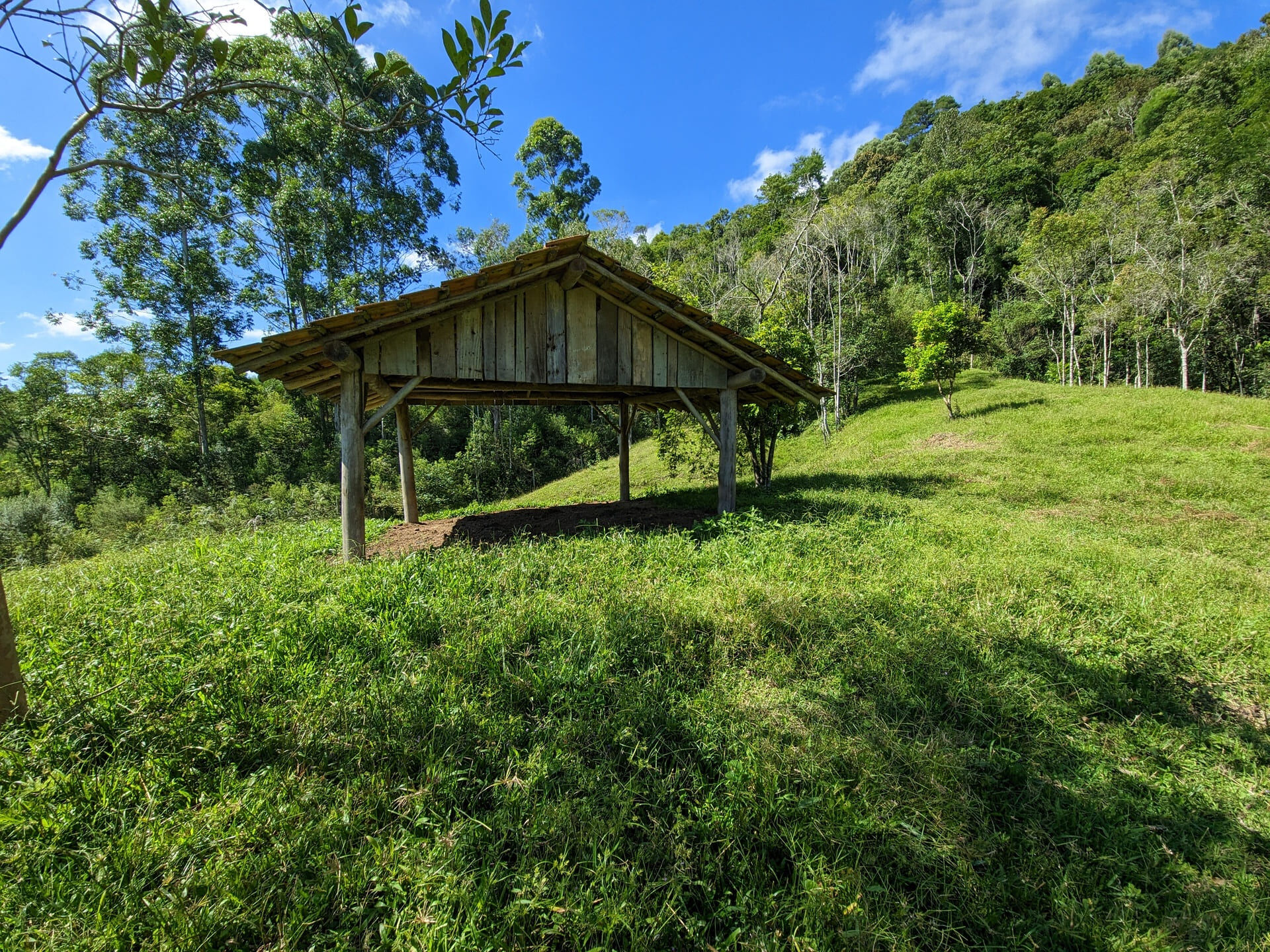 Terreno à venda, 30000m² - Foto 5