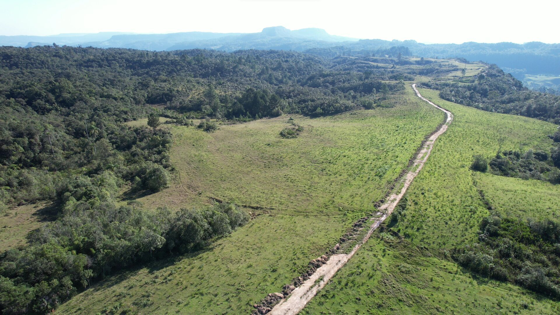 Fazenda-Sítio-Chácara, 260 hectares - Foto 3