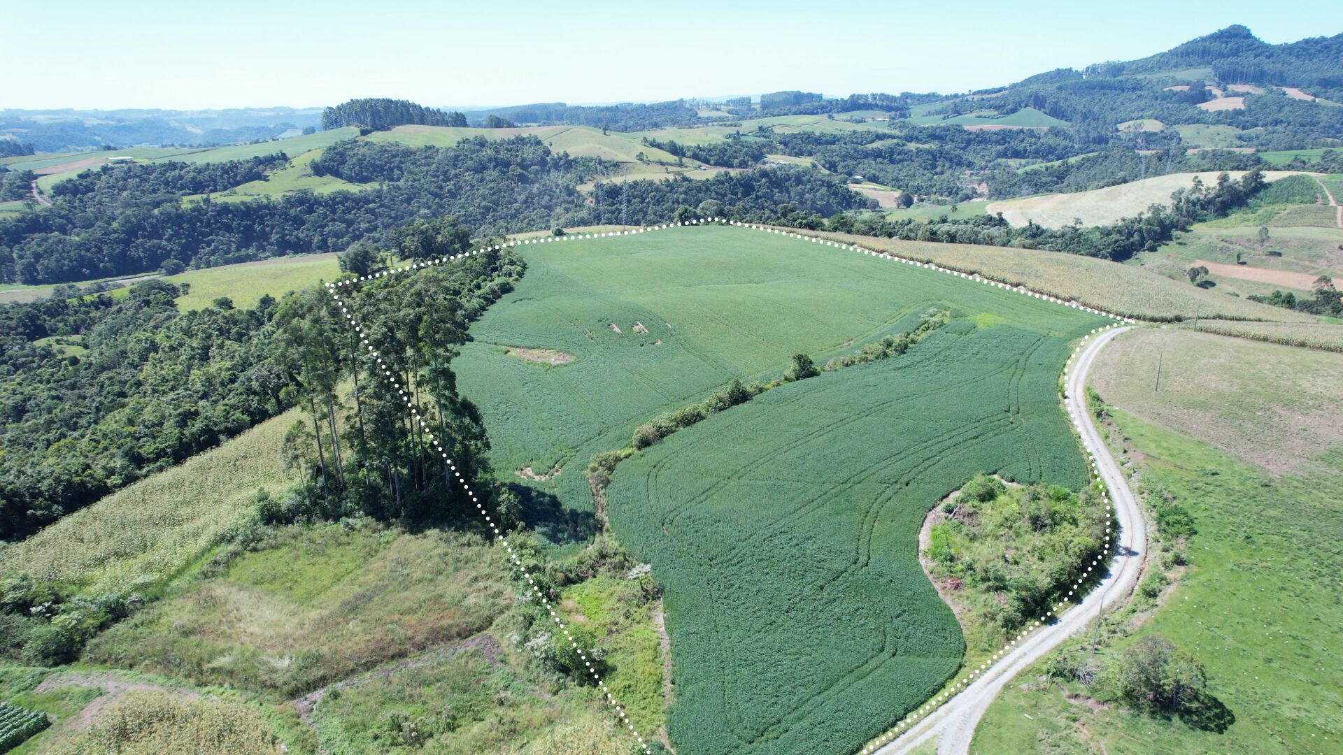 Fazenda-Sítio-Chácara, 5 hectares - Foto 1
