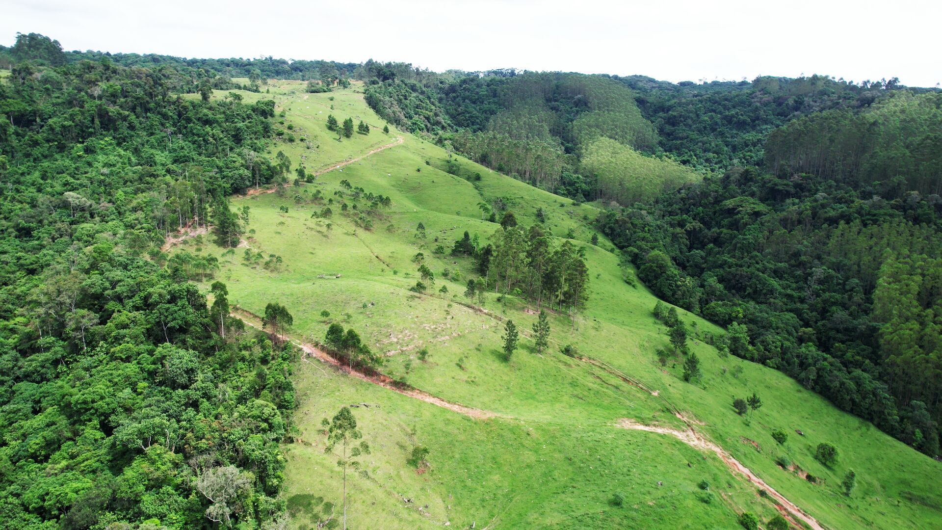 Terreno, 11 hectares - Foto 2