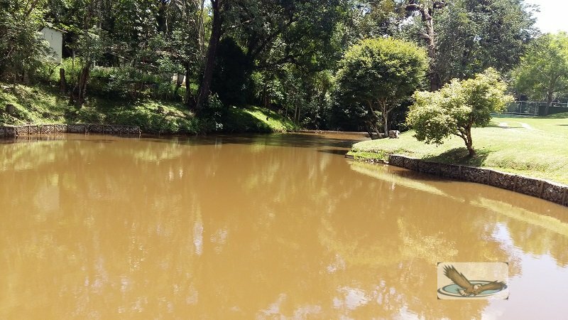 Fazenda à venda com 8 quartos, 30000m² - Foto 6