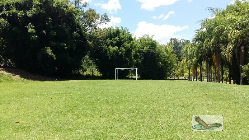 Fazenda à venda com 8 quartos, 30000m² - Foto 8