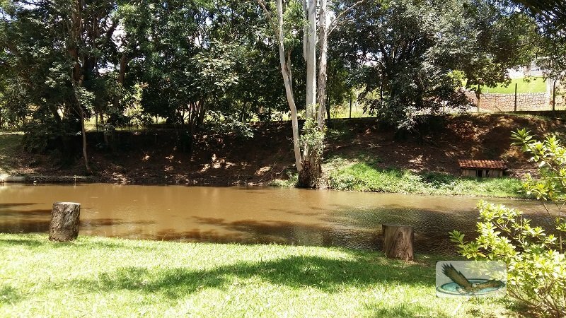 Fazenda à venda com 8 quartos, 30000m² - Foto 5